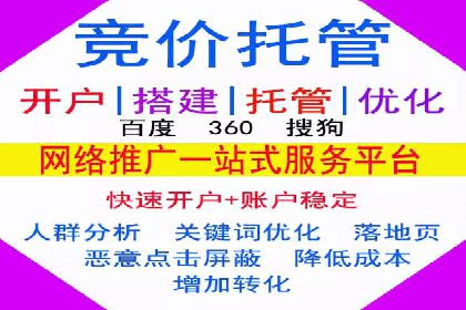 谷歌竞价广告的投放策略与成功案例分析